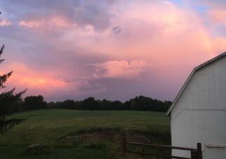Home