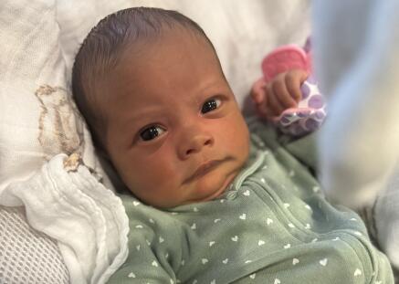 Recent Newborn Adoption